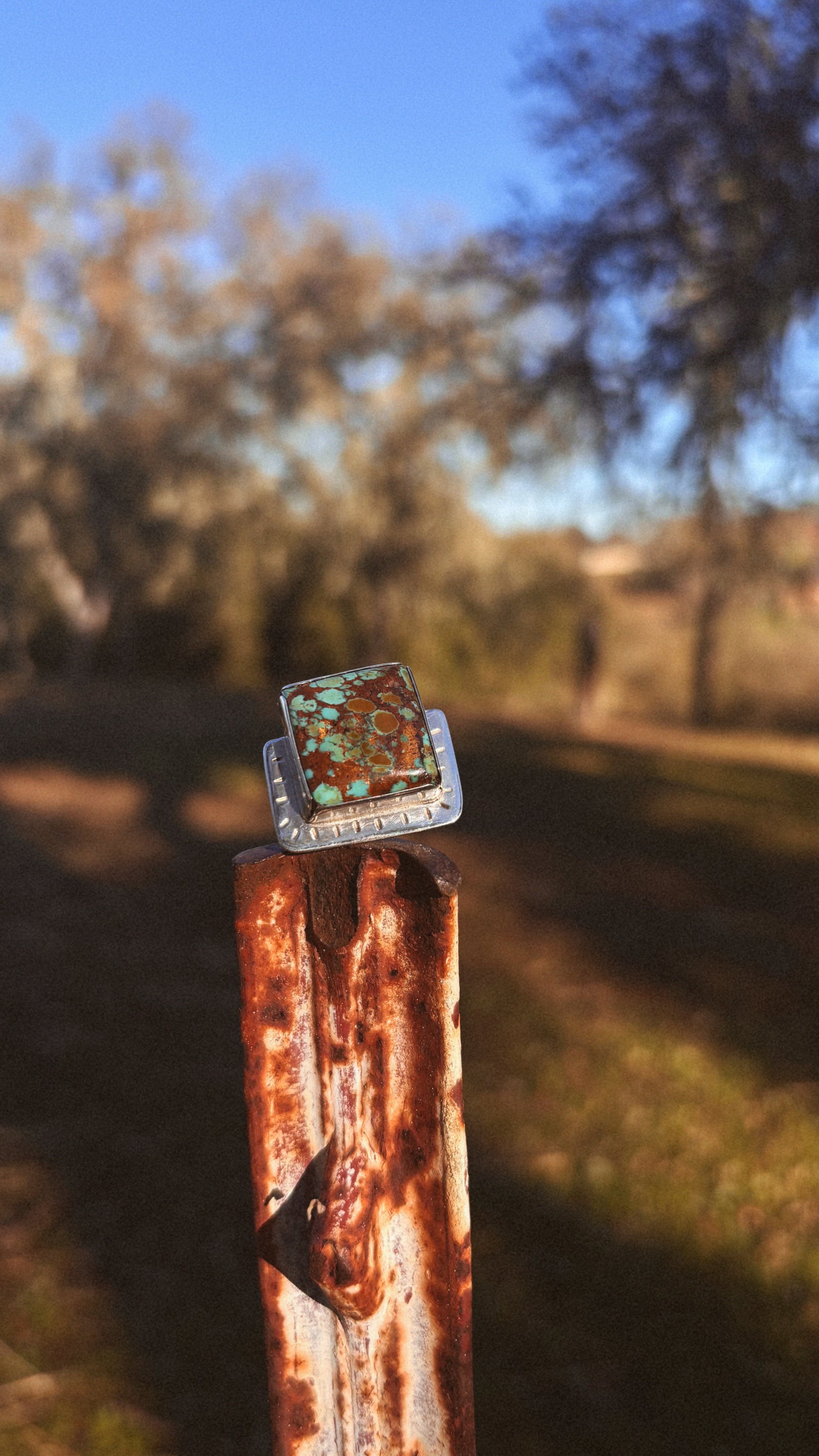 Rising Pheonix Ring - Size 7.5